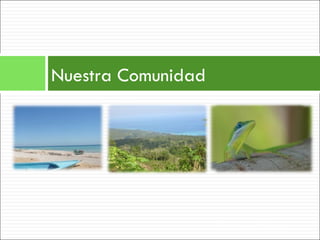 Nuestra Comunidad Visite www.demisiembra.com 