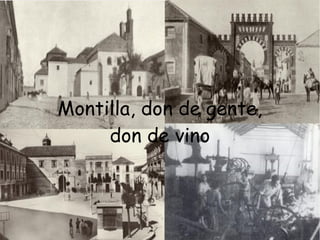 Montilla, don de gente,
don de vino
 