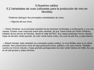 5.Nuestros caldos
5.2.Variedades de uvas (utilizadas para la producción de vino en
Montilla)
Podemos distinguir dos principales variedadades de vinos;
→ Algunos de sus vinos;
→ Pedro Ximénez: es la principal variedad de las diversas nombradas a continuación y a su vez
usadas. Existen unas creencias sobre esta variedad, de que fuese traída por Pedro Ximénez,
soldado de los tercios de Flandes, desde el valle del Rhin. Sus cepas presentan tronco robusto,
hojas de tamaño medio-grande, de color verde fuerte mate y de uvas de piel fina y pulpa blanca.
→ Baladí-Verdejo :esta variedad va a necesitar suelos sueltos, no muy fértiles, pero si un clima
soleado. Nos proporciona vinos de baja graduación,finos, pálidos y con poco aroma. También
cuenta con tronco robusto y hojas grandes pentagonales de color verde intenso sin brillo. Su uva
es de piel gruesa y pulpa carnosa.
 