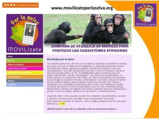 www.movilizateporlaselva.org
 