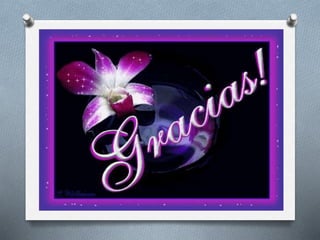 Aire Tipico por Priscila Puertas