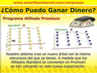 10$ 10$ 10$ ¿Cómo Puedo Ganar Dinero? 