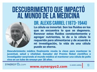 Nuevo Plan de Compensación
Principales formas de ganar Dinero
Todas te pagan al mismo tiempo
1
INGRESO DIRECTO
Hasta un 100%
de ganancias
sobre tu inversión.
2
BONO INICIO
RÁPIDO
Hasta 33%
Gana en cada
afiliación
personal.
3
BONO POWER
TEAM
Te paga hasta
$100,000 USD
mensuales.
4
BONO UNINIVEL
Tu plan de retiro
perfecto,
regalías de por
vida.
 