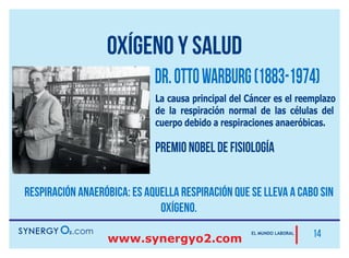 Ejemplo del trabajo durante un año de Armando
(afiliado que empezó con la mínima categoría)
(ganancias referenciales)
Meta mensual:
Afiliar una persona todos los días de lunes a viernes.
Total mínimo 20 afiliaciones
Adquiere categoría Elite MAGNO
Dos de esas afiliaciones son efectivas
(gente de negocios).
 