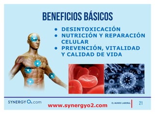 1° mes:
Un afiliado diario. Dos de sus afiliados son efectivos
Nuevo afiliado
Distribuidor con recompra
Gana por Bono de inicio rápido de
acuerdo a las categorías de sus afiliados.
Su ganancia en el mes puede ser desde
aproximadamente US$ 333.50
Afiliaciones bronce totales en el mes: 20
Puntos fast start: 57 x 20= 1 140
Bono de Inicio Rápido: 285.00
Incremento del Bono de Inicio por ser ELITE MAGNO: 28.50
Puntos Power Team: 10 x 20 = 200
Bono BINARIO como ELITE MAGNO: 20
TOTAL EN EL MES: 285 + 28.50 + 20 = US$ 333.50
SI ARMANDO FUERA PRESENTADOR HABRÍA GANADO US$ 300.00 MÁS
 