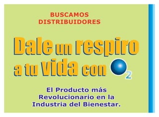 2° mes:
Nuevamente consigue dos afiliados
efectivos y enseña a afiliar en red
binaria. Gana por inicio rápido de acuerdo a
las categorías de sus nuevos afiliados
en 1er y 2do nivel.
Gana por las recompras del mes de
quienes se afiliaron el mes pasado.
Su ganancia en el mes puede ser
desde US$ 527.80
Nuevo afiliado
Distribuidor con recompra
Gana por Bono de inicio rápido de
acuerdo a las categorías de sus afiliados.
Su ganancia en el mes puede ser desde
aproximadamente US$ 333.50
3° mes: Sigue consiguiendo dos afiliados
efectivos. Con el ejemplo, la red va creciendo.
Armando compró el ascenso a categoría Plata
Gana por inicio rápido de acuerdo a las categorías de sus
nuevos afiliados en 1er y 2do nivel.
Gana por las recompras del mes de quienes se afiliaron en
meses pasados.
Su ganancia en el mes puede ser desde US$ 1090
4° mes:
Lidera a 80 personas. Armando compró su
ascenso a Oro y sus afiliados efectivos
también compran ascensos.
Sus ganancias en el mes superarán los US$ 4100
1° mes:
Un afiliado diario. Dos de sus afiliados son efectivos
 