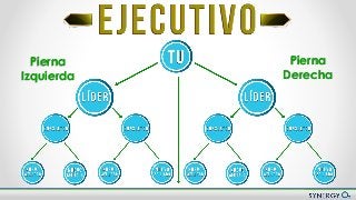 Nuevo Plan de Compensación
Pierna
Izquierda
Pierna
Derecha
 