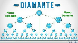 Nuevo Plan de Compensación
Pierna
Izquierda
Pierna
Derecha
 