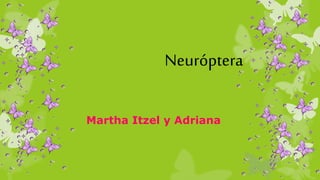 Neuróptera
Martha Itzel y Adriana
 