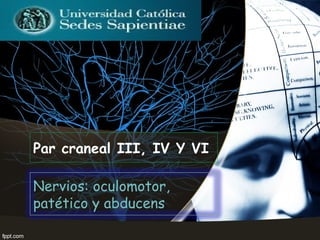 Par craneal III, IV Y VI
Nervios: oculomotor,
patético y abducens

 