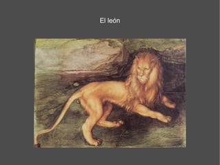 El león
 