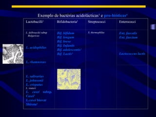 Exemplo de bactérias acidolácticas1 e pro-bióticas4
Lactobacilli2          Bifidobacteria2      Streptococci      Enterococci


L. delbrueckii subsp   Bif. bifidum         S. thermophilus   Ent. faecalis
  Bulgaricus
                       Bif. longum                            Ent. faecium
                       Bif. breve
                       Bif. Infantis
L. acidophilus
                       Bif. adolescentis3
                       Bif. Lactis3                           Lactococcus lactis

L. rhamnosus



L. salivarius
L. johnsonii
L. crispatus
L. reuteri
L. casei subsp.
Casei3
L.casei biovar
Shirota3
 
