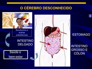 O CÉREBRO DESCONHECIDO




    Serotonina e
       outras
    substâncias                  ESTOMAGO

     INTESTINO
      DELGADO
                             INTESTINO
                             GROSSO E
Saúde e                        CÓLON
bem-estar
 