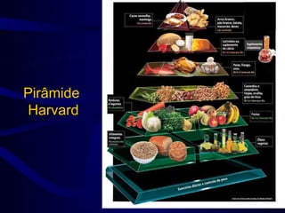 Pirâmide
Harvard
 