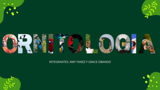 INTEGRANTES: AMY YANEZ Y GRACE OBANDO
LEARN MORE
 