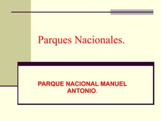 Parques Nacionales.   PARQUE NACIONAL MANUEL ANTONIO . 
