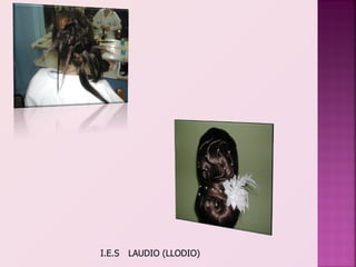I.E.S   LAUDIO (LLODIO)
 