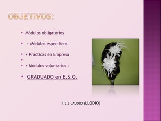    Módulos obligatorios

   + Módulos específicos

   + Prácticas en Empresa


   + Módulos voluntarios :

   GRADUADO en E.S.O.



                       I.E.S LAUDIO (LLODIO)
 