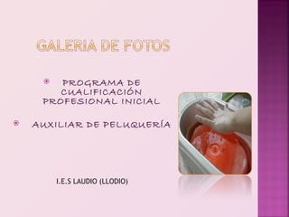   PROGRAMA DE
        CUALIFICACIÓN
     PROFESIONAL INICIAL

   AUXILIAR DE PELUQUERÍA




         I.E.S LAUDIO (LLODIO)
 