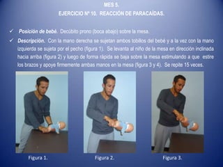 MES 5.
EJERCICIO Nº 10. REACCIÓN DE PARACAÍDAS.
 Posición de bebé. Decúbito prono (boca abajo) sobre la mesa.
 Descripción. Con la mano derecha se sujetan ambos tobillos del bebé y a la vez con la mano
izquierda se sujeta por el pecho (figura 1). Se levanta al niño de la mesa en dirección inclinada
hacia arriba (figura 2) y luego de forma rápida se baja sobre la mesa estimulando a que estire
los brazos y apoye firmemente ambas manos en la mesa (figura 3 y 4). Se repite 15 veces.
Figura 1. Figura 2. Figura 3.
 