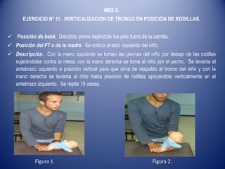 MES 5.
EJERCICIO Nº 11. VERTICALIZACIÓN DE TRONCO EN POSICIÓN DE RODILLAS.
 Posición de bebé. Decúbito prono dejándole los pies fuera de la camilla.
 Posición del FT o de la madre. Se coloca al lado izquierdo del niño.
 Descripción. Con la mano izquierda se toman las piernas del niño por debajo de las rodillas
sujetándolas contra la mesa; con la mano derecha se toma al niño por el pecho. Se levanta el
antebrazo izquierdo a posición vertical para que sirva de respaldo al tronco del niño y con la
mano derecha se levanta al niño hasta posición de rodillas apoyándolo verticalmente en el
antebrazo izquierdo. Se repite 10 veces.
Figura 1. Figura 2.
 