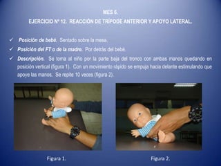MES 6.
EJERCICIO Nº 12. REACCIÓN DE TRÍPODE ANTERIOR Y APOYO LATERAL.
 Posición de bebé. Sentado sobre la mesa.
 Posición del FT o de la madre. Por detrás del bebé.
 Descripción. Se toma al niño por la parte baja del tronco con ambas manos quedando en
posición vertical (figura 1). Con un movimiento rápido se empuja hacia delante estimulando que
apoye las manos. Se repite 10 veces (figura 2).
Figura 1. Figura 2.
 