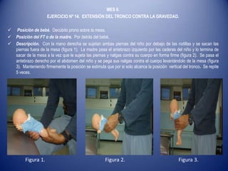 MES 6.
EJERCICIO Nº 14. EXTENSIÓN DEL TRONCO CONTRA LA GRAVEDAD.
 Posición de bebé. Decúbito prono sobre la mesa.
 Posición del FT o de la madre. Por detrás del bebé.
 Descripción. Con la mano derecha se sujetan ambas piernas del niño por debajo de las rodillas y se sacan las
piernas fuera de la mesa (figura 1). La madre pasa el antebrazo izquierdo por las caderas del niño y lo termina de
sacar de la mesa a la vez que le sujeta las piernas y nalgas contra su cuerpo en forma firme (figura 2). Se pasa el
antebrazo derecho por el abdomen del niño y se pega sus nalgas contra el cuerpo levantándolo de la mesa (figura
3). Manteniendo firmemente la posición se estimula que por si solo alcance la posición vertical del tronco. Se repite
5 veces.
Figura 1. Figura 2. Figura 3.
 