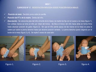MES 7.
EJERCICIO Nº 17. SEDESTACIÓN INDUCIDA DESDE POSICIÓN BOCA ABAJO.
 Posición de bebé. Decúbito prono sobre la camilla.
 Posición del FT o de la madre. Detrás del niño.
 Descripción. Se coloca los pies del niño al borde de la mesa y la madre los fija con el cuerpo a la mesa (figura 1).
Con ambas manos se toma al niño por mitad del tronco. Se lleva el tronco del niño hacia atrás en forma firme
hasta alcanzar posición de gateo (figura 2). Sin que el niño pierda apoyo de las manos en la mesa se pasa la
cadera por sobre la pierna derecha hasta que alcance posición sentado. La pierna derecha queda colgando por el
borde de la mesa (figura 3 y 4). Se repite 5 veces de cada lado.
Figura 1. Figura 2. Figura 3. figura 4.
 