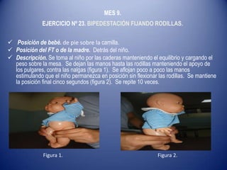 MES 9.
EJERCICIO Nº 23. BIPEDESTACIÓN FIJANDO RODILLAS.
 Posición de bebé. de pie sobre la camilla.
 Posición del FT o de la madre. Detrás del niño.
 Descripción. Se toma al niño por las caderas manteniendo el equilibrio y cargando el
peso sobre la mesa. Se dejan las manos hasta las rodillas manteniendo el apoyo de
los pulgares, contra las nalgas (figura 1). Se aflojan poco a poco las manos
estimulando que el niño permanezca en posición sin flexionar las rodillas. Se mantiene
la posición final cinco segundos (figura 2). Se repite 10 veces.
Figura 1. Figura 2.
 