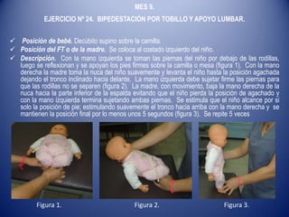 MES 9.
EJERCICIO Nº 24. BIPEDESTACIÓN POR TOBILLO Y APOYO LUMBAR.
 Posición de bebé. Decúbito supino sobre la camilla.
 Posición del FT o de la madre. Se coloca al costado izquierdo del niño.
 Descripción. Con la mano izquierda se toman las piernas del niño por debajo de las rodillas,
luego se reflexionan y se apoyan los pies firmes sobre la camilla o mesa (figura 1). Con la mano
derecha la madre toma la nuca del niño suavemente y levanta el niño hasta la posición agachada
dejando el tronco inclinado hacia delante. La mano izquierda debe sujetar firme las piernas para
que las rodillas no se separen (figura 2). La madre, con movimiento, baja la mano derecha de la
nuca hacia la parte inferior de la espalda evitando que el niño pierda la posición de agachado y
con la mano izquierda termina sujetando ambas piernas. Se estimula que el niño alcance por si
solo la posición de pie; estimulando suavemente el tronco hacia arriba con la mano derecha y se
mantienen la posición final por lo menos unos 5 segundos (figura 3). Se repite 5 veces
Figura 1. Figura 2. Figura 3.
 