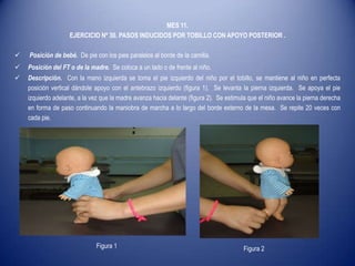MES 11.
EJERCICIO Nº 30. PASOS INDUCIDOS POR TOBILLO CON APOYO POSTERIOR .
 Posición de bebé. De pie con los pies paralelos al borde de la camilla.
 Posición del FT o de la madre. Se coloca a un lado o de frente al niño.
 Descripción. Con la mano izquierda se toma el pie izquierdo del niño por el tobillo, se mantiene al niño en perfecta
posición vertical dándole apoyo con el antebrazo izquierdo (figura 1). Se levanta la pierna izquierda. Se apoya el pie
izquierdo adelante, a la vez que la madre avanza hacia delante (figura 2). Se estimula que el niño avance la pierna derecha
en forma de paso continuando la maniobra de marcha a lo largo del borde externo de la mesa. Se repite 20 veces con
cada pie.
Figura 1 Figura 2
 