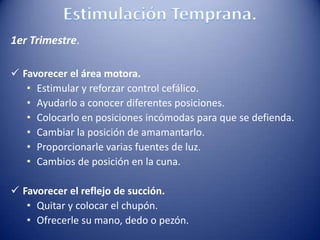 1er Trimestre.
 Favorecer el área motora.
• Estimular y reforzar control cefálico.
• Ayudarlo a conocer diferentes posiciones.
• Colocarlo en posiciones incómodas para que se defienda.
• Cambiar la posición de amamantarlo.
• Proporcionarle varias fuentes de luz.
• Cambios de posición en la cuna.
 Favorecer el reflejo de succión.
• Quitar y colocar el chupón.
• Ofrecerle su mano, dedo o pezón.
 