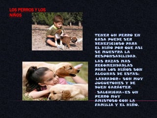    CHOW CHOWLAS PEQUEÑAS SON:   FOX TERRIER