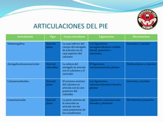 ARTICULACIONES DEL PIE
Articulación Tipo Caras articulares Ligamentos Movimientos
Subastragalina Sinovial
plana
La cara inferior del
cuerpo del astrágalo
de articula con la
cara superior del
calcáneo
Los ligamentos
astragalocalcáneos medial,
lateral, posterior e
interóseos
Inversión y eversión
Astragalocalcaneonavicular Sinovial
esferoidea
La cabeza del
astrágalo se articula
con el calcáneo y el
navicular
El ligamento
calcaneonavicular plantar
Deslizamiento y rotación
Calcaneocuboidea Sinovial
plana
El extremo anterior
del calcáneo se
articula con la cara
posterior del
cuboides
Los ligamentos
calcaneocuboideos dorsal y
plantar
Inversión y eversión
Cuneonavicular Sinovial
plana
La parte anterior de
la navicular se
articula con las
caras posteriores de
los cuneiformes
Ligamento cuneonavicular
dorsales y plantares
Movimientos pequeños
 