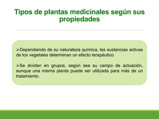 Tipos de plantas medicinales según sus
propiedades
Dependiendo de su naturaleza química, las sustancias activas
de los vegetales determinan un efecto terapéutico
Se dividen en grupos, según sea su campo de actuación,
aunque una misma planta puede ser utilizada para más de un
tratamiento.
 