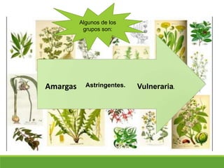 Vulnerarias.
Astringentes.Amargas
Algunos de los
grupos son:
 