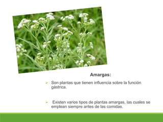 Amargas:
 Son plantas que tienen influencia sobre la función
gástrica.
 Existen varios tipos de plantas amargas, las cuales se
emplean siempre antes de las comidas.
 