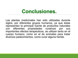 Conclusiones.
Las plantas medicinales han sido utilizadas durante
siglos, por diferentes grupos humanos, ya que éstas
representan la principal fuente de productos naturales
con diferentes propiedades curativas por sus
importantes efectos terapéuticos, se utilizan tanto en el
cuerpo humano, como en el de animales para tratar
diversos padecimientos, como curar alguna herida.
 