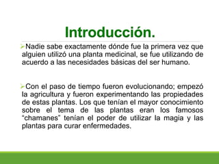 Introducción.
Nadie sabe exactamente dónde fue la primera vez que
alguien utilizó una planta medicinal, se fue utilizando de
acuerdo a las necesidades básicas del ser humano.
Con el paso de tiempo fueron evolucionando; empezó
la agricultura y fueron experimentando las propiedades
de estas plantas. Los que tenían el mayor conocimiento
sobre el tema de las plantas eran los famosos
“chamanes” tenían el poder de utilizar la magia y las
plantas para curar enfermedades.
 