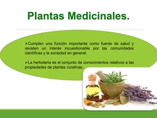 Plantas Medicinales.
Cumplen una función importante como fuente de salud y
revisten un interés incuestionable por las comunidades
científicas y la sociedad en general.
La herbolaria es el conjunto de conocimientos relativos a las
propiedades de plantas curativas.
 