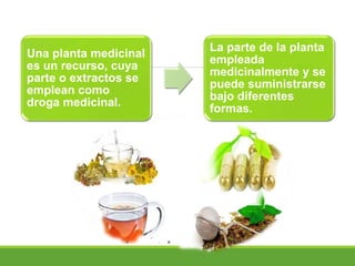 Una planta medicinal
es un recurso, cuya
parte o extractos se
emplean como
droga medicinal.
La parte de la planta
empleada
medicinalmente y se
puede suministrarse
bajo diferentes
formas.
 