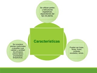 Características
Pueden ser hojas,
flores, frutos,
cortezas,
exudados, raíces.
Se utilizan partes
y estructuras
vegetativas,
dependiendo del
tipo de planta.
Se considera
plantas medicinales
a aquellas cuya
calidad y cantidad
de principios
activos tienen
propiedades
terapéuticas.
 
