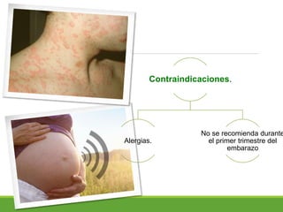 Contraindicaciones.
Alergias.
No se recomienda durante
el primer trimestre del
embarazo
 