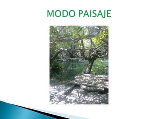MODO PAISAJE
