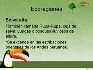 Selva Peruana | PPT