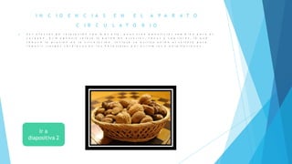 I N C I D E N C I A S E N E L A P A R A T O
C I R C U L A T O R I O
 S u s e f e c t o s d e r e l a j a c i ó n v a n m á s a l l á , p u e s t r a e b e n e f i c i o s t a m b i é n p a r a e l
c o r a z ó n . E l m a g n e s i o r e l a j a l a p a r e d d e a r t e r i a s , v e n a s y c a p i l a r e s , l o q u e
r e d u c e l a p r e s i ó n e n l a c i r c u l a c i ó n . I n c l u s o s e u t i l i z a u n i d o a l s u l f a t o p a r a
r e d u c i r r i e s g o s c a r d í a c o s e n l o s h o s p i t a l e s p o r a r r i t m i a s o p a l p i t a c i o n e s .
 