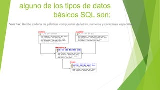 alguno de los tipos de datos
básicos SQL son:
Varchar: Recibe cadena de palabras compuestas de letras, números y caracteres especiales.
 