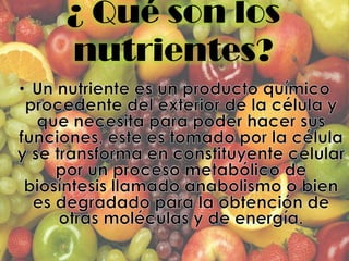 ¿ Qué son los
nutrientes?
 