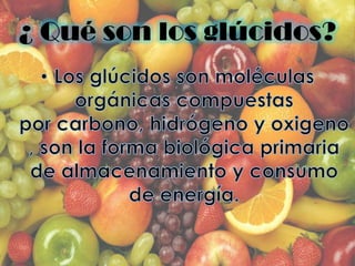 ¿ Qué son los glúcidos?
 
