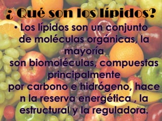 ¿ Qué son los lípidos?
 